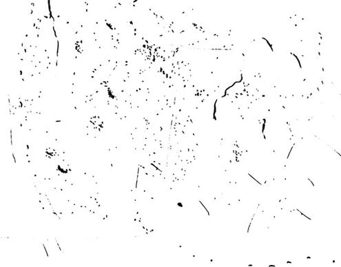 black speckle texture vector