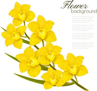 elegant yellow flowers art background vector