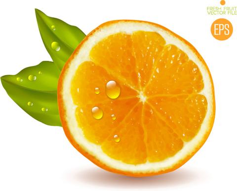 juicy slice oranges vector set