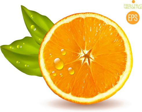 juicy slice oranges vector set