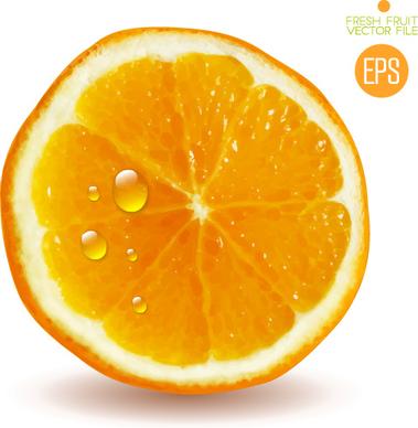 juicy slice oranges vector set