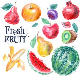 colored drawn fruits vectors