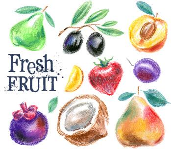 colored drawn fruits vectors