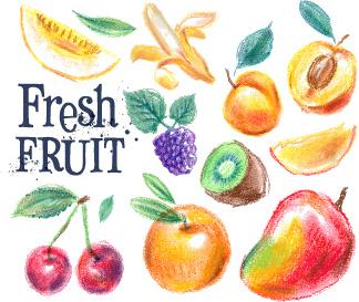 colored drawn fruits vectors