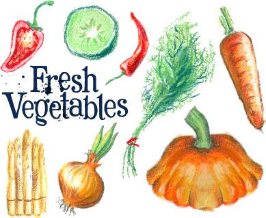 hand drawn fresh vegetables colored vector