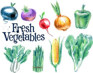 hand drawn fresh vegetables colored vector