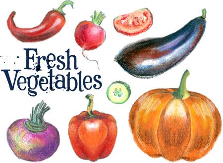 hand drawn fresh vegetables colored vector