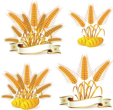 wheat with bread vector