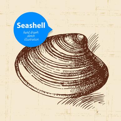 set of seashell hand drawn vectors