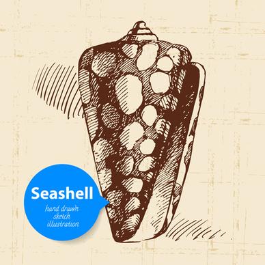 set of seashell hand drawn vectors