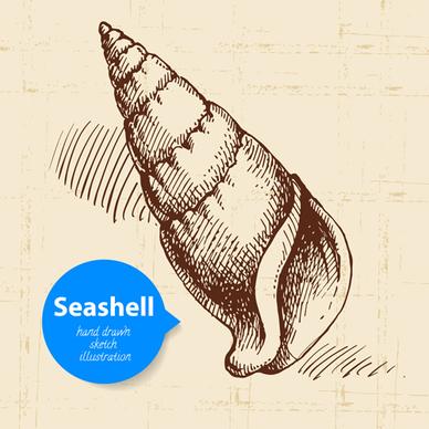 set of seashell hand drawn vectors