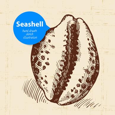 set of seashell hand drawn vectors