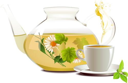 chrysanthemum tea creative vectors