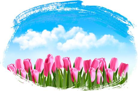 blue sky with tulip spring background vector