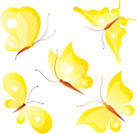 yellow butterflies vector