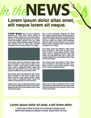 news page layout design vector