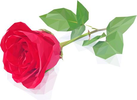 beautiful roses vector