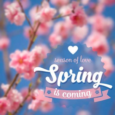 spring flower blurred background vector set