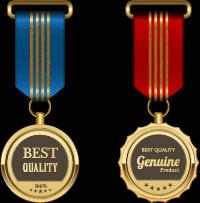 gorgeous medal award vector