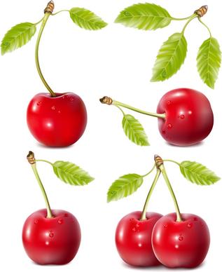 ripe cherries creative vector