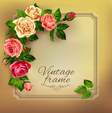 beautiful roses with vintage cards vector