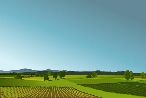 beautiful fields landscapes vector set