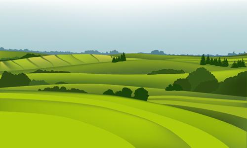 beautiful fields landscapes vector set