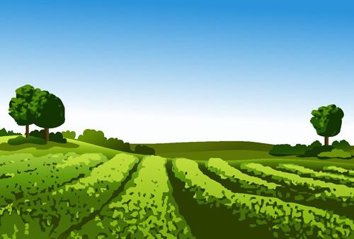 beautiful fields landscapes vector set