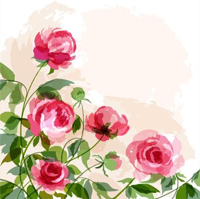 hand drawn watercolor peonies vectors