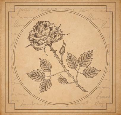 old paper with floral background vector set