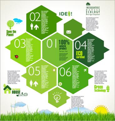 modern ecology infographics green template vector