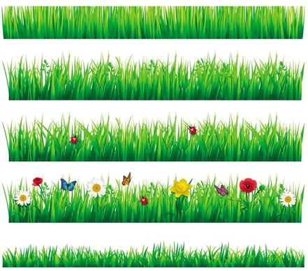 flower with grass border vector