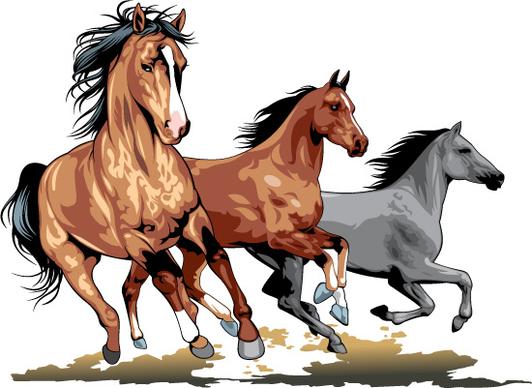 realistic running horses vector graphics