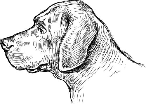 hand drawn dog art vector