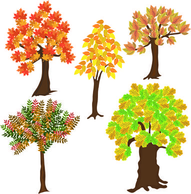 autumn tree icons vector