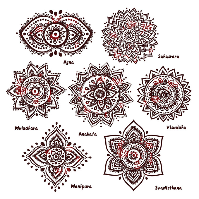 india style ornament elements pattern vector