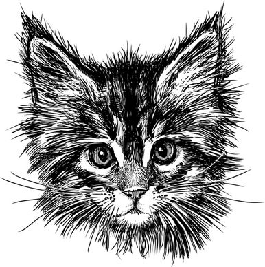 hand drawn cats head vector set