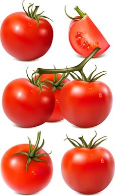 juicy fresh tomato graphics vector