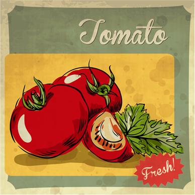 fresh tomato retro style poster vector