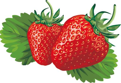 juicy fresh strawberries set vector