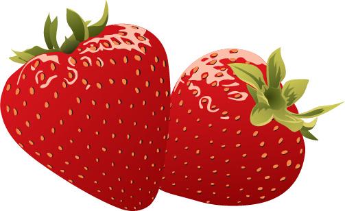 juicy fresh strawberries set vector