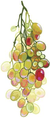 excellent hand drawn grapes vector graphics