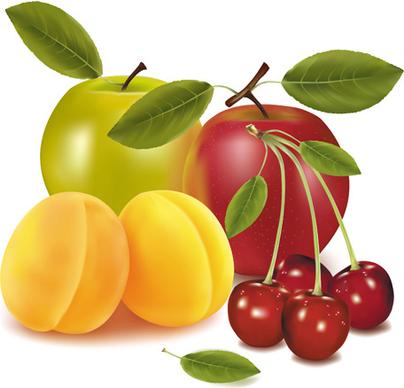 shiny fruits creative vector graphics