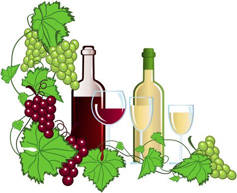 realistic grapes and wine design vector