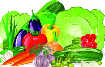 fresh vegetables vector set