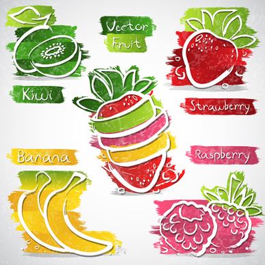 fruits abstract design vector