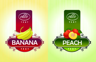 different fruit stickers vector set