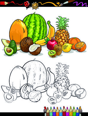 color with sketch fruit and vegetables vector