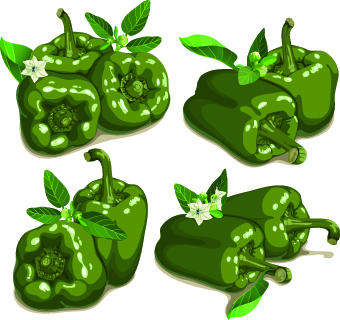 chili vector