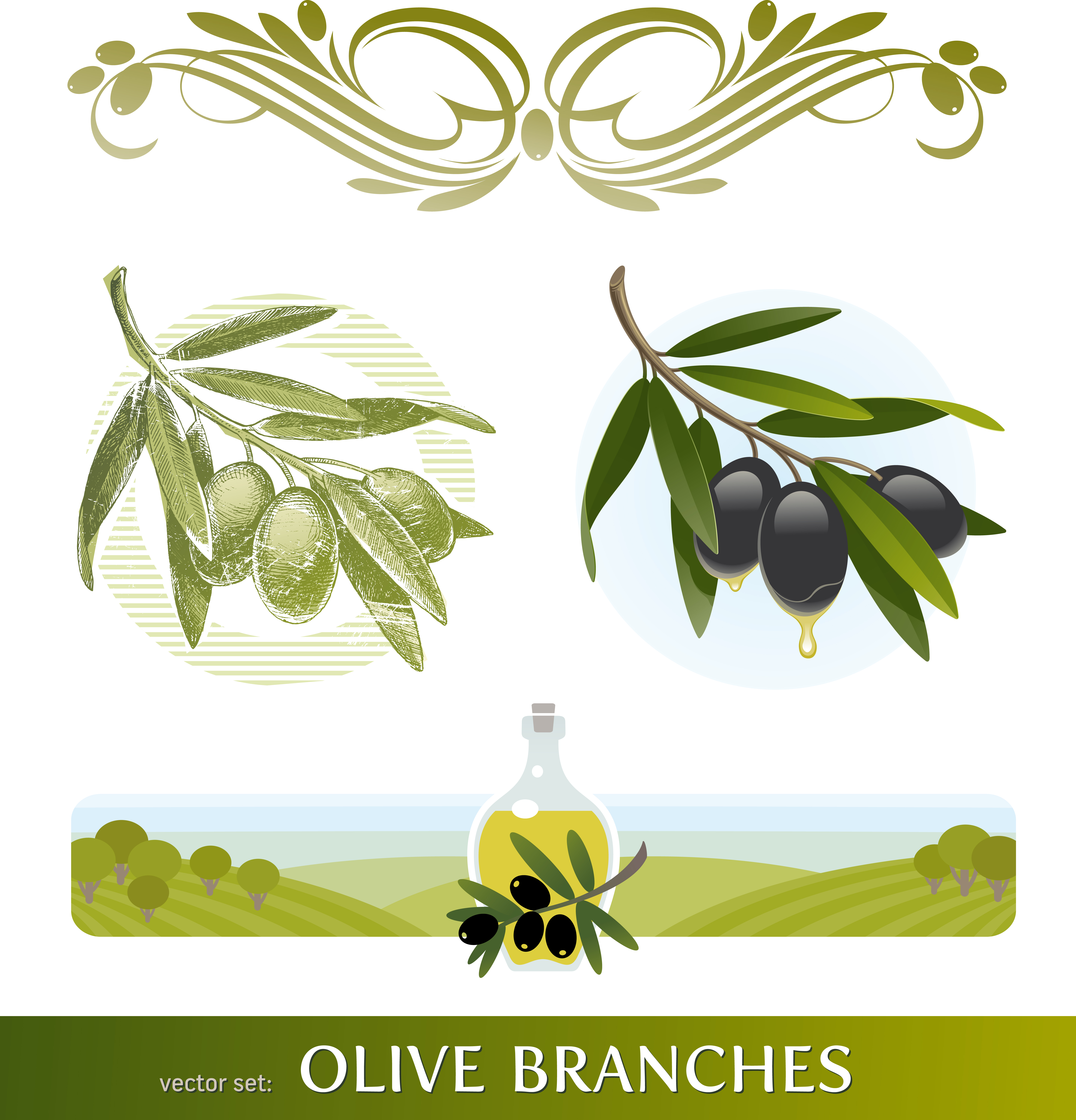 coffee and olive art